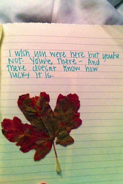 2628b948c3babdf277135c11c13c2ea9