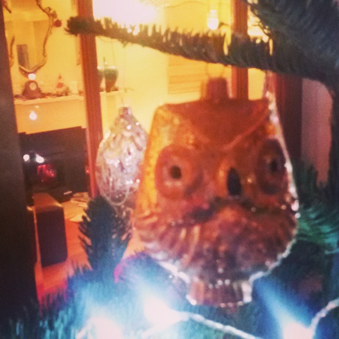 IMG_20141212_200736.jpg image