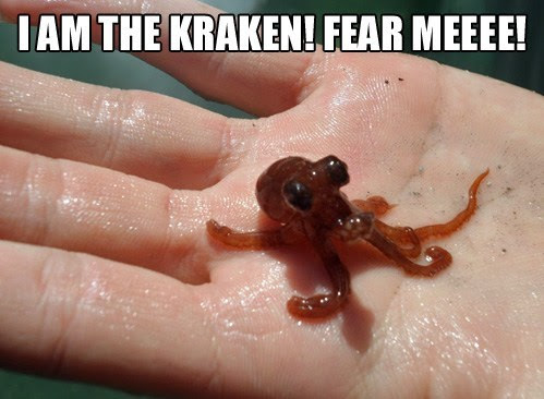 The latest scan photos of our baby