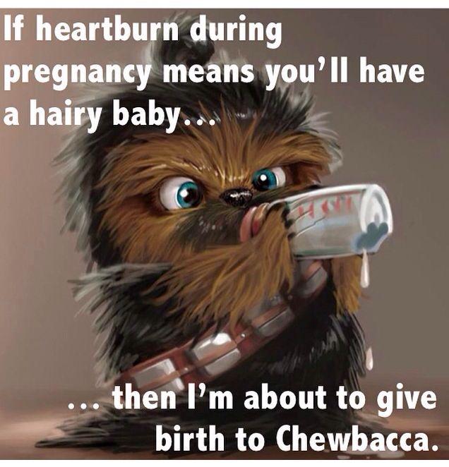 12347581_10156423027505347_7901532358533257234_n